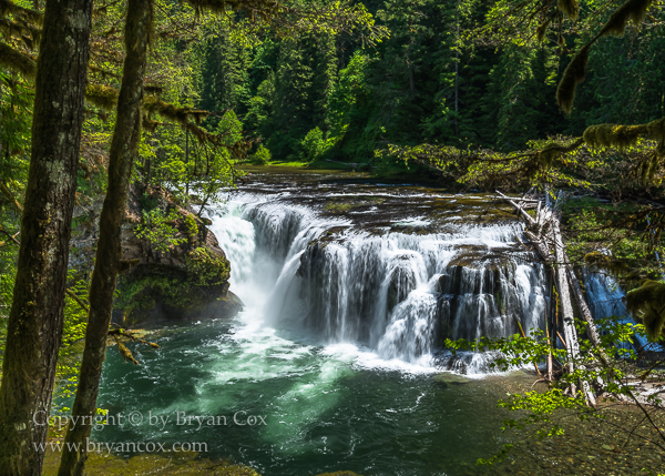 Image of Lower Lewis River Falls
