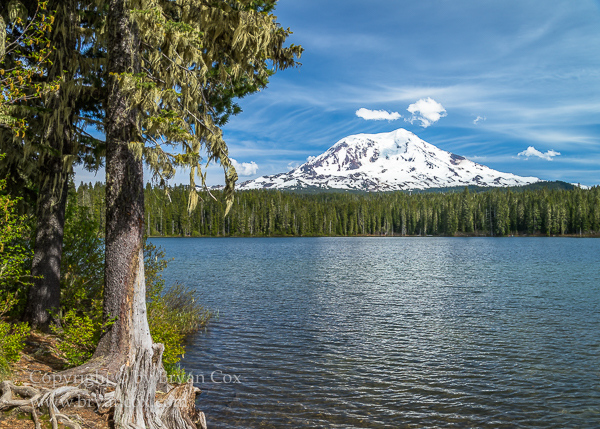 Image of Takhlakh Lake and Mount Adams