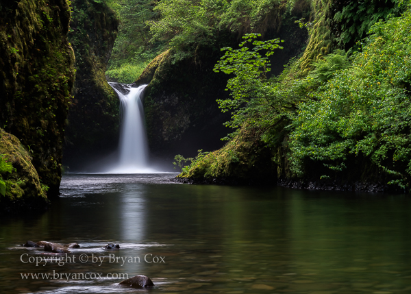 Image of Punchbowl Falls