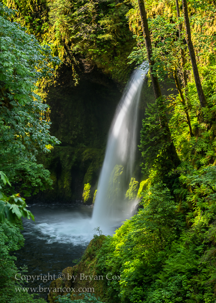 Image of Metlako Falls