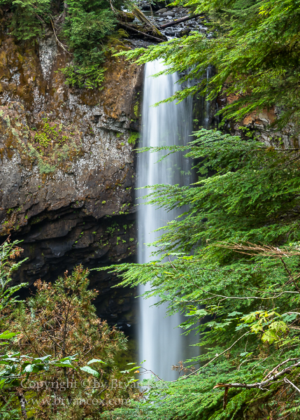 Image of Big Creek Falls
