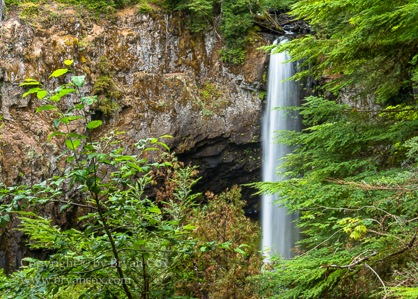 Image of Big Creek Falls