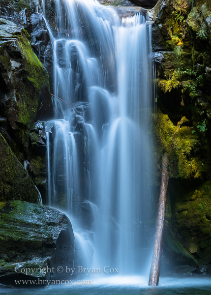 Image of Detail of Pine Creek Falls