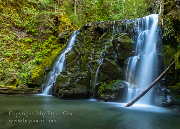 Image of Pine Creek Falls