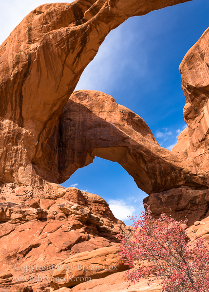 Image of Double Arch