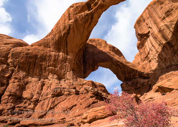 Image of Double Arch