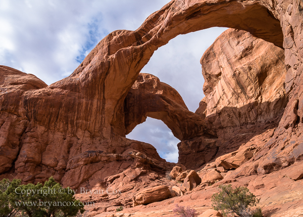 Image of Arches National Park
