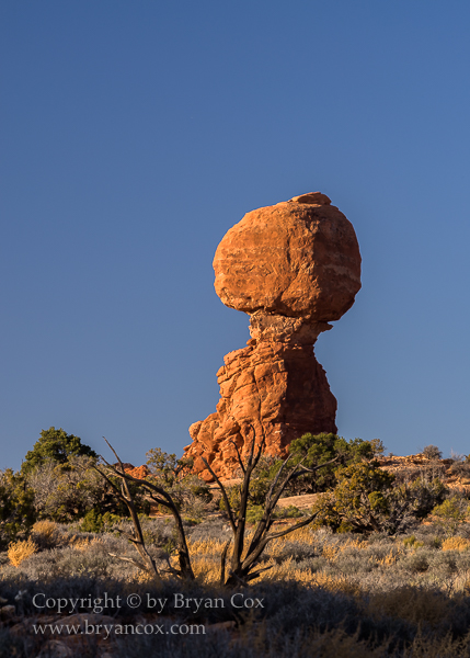Image of 