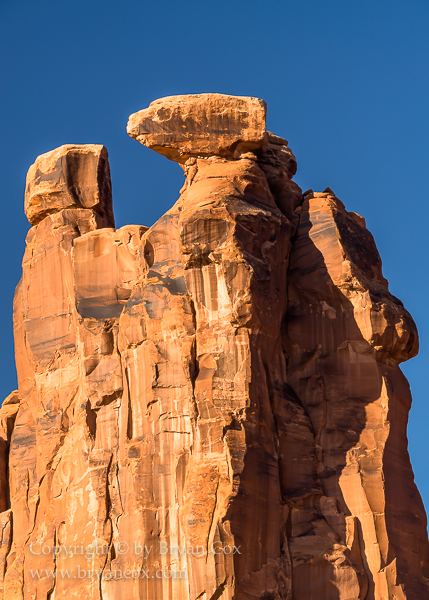 Image of The Three Gossips