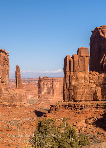 Image of Park Avenue