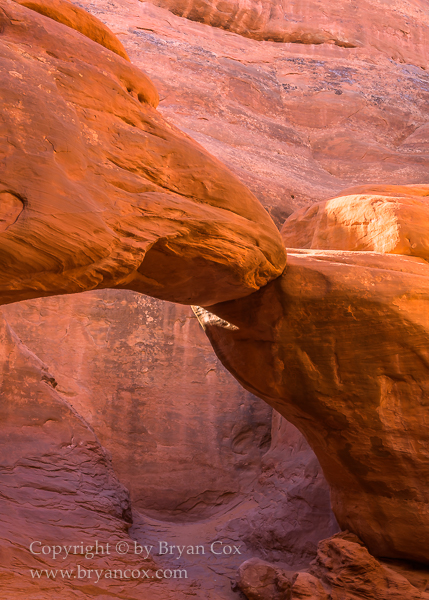 Image of Sand Dune Arch