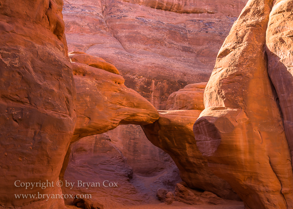 Image of Sand Dune Arch