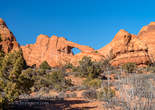 Image of Skyline Arch