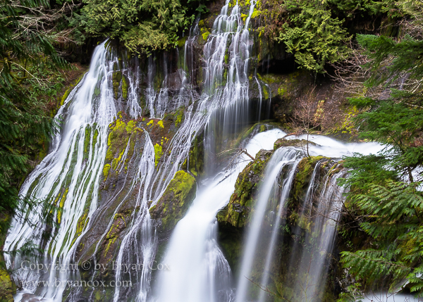Image of Panther Creek Falls
