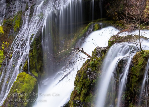 Image of Detail of Panther Creek Falls