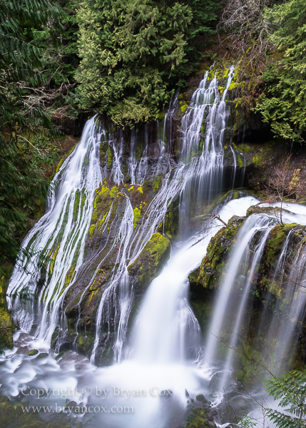 Image of Panther Creek Falls