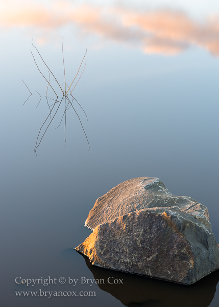 Image of 