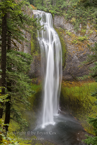 Image of Salt Creek Falls