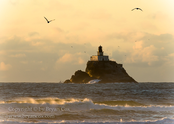Image of Tillamook Rock Lighthouse