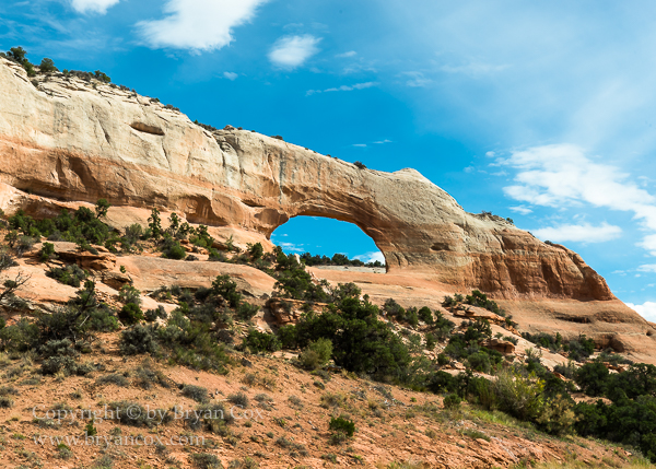 Image of Wilson Arch