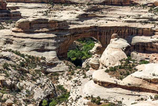 Image of Natural Bridges National Monument