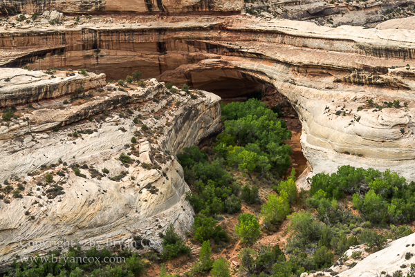 Image of Kachina Bridge