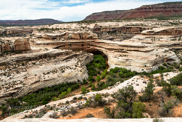 Image of Kachina Bridge