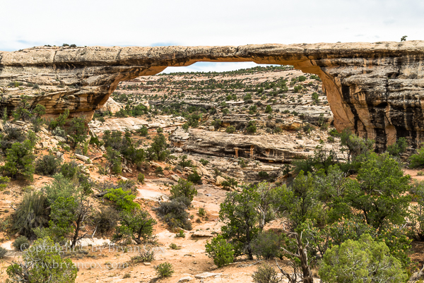 Image of Owachomo Bridge