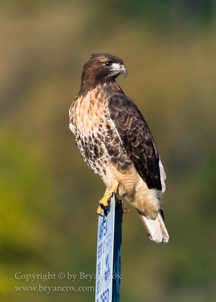 Image of Ridgefield National Wildlife Refuge