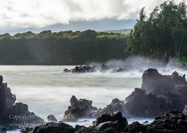 Image of Lava