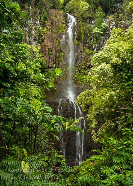 Image of Wailua Falls