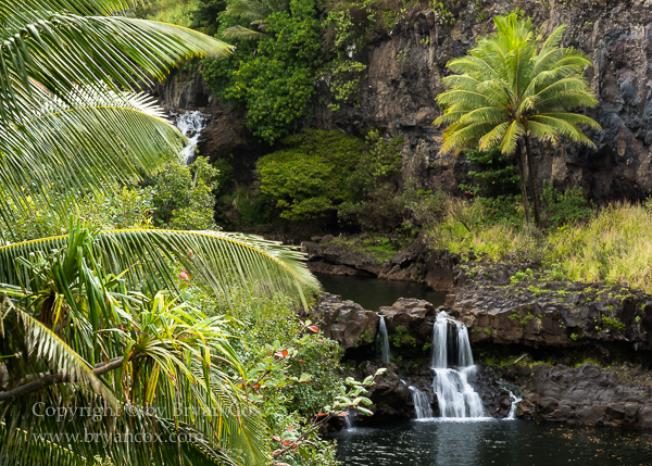 Image of 'Ohe'o Gulch