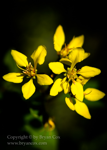 Image of 